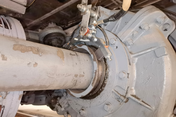 Budapest, Metrowagonmash Ev, Tamara, bélyegkép